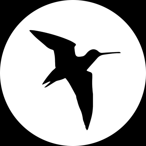elevateessent